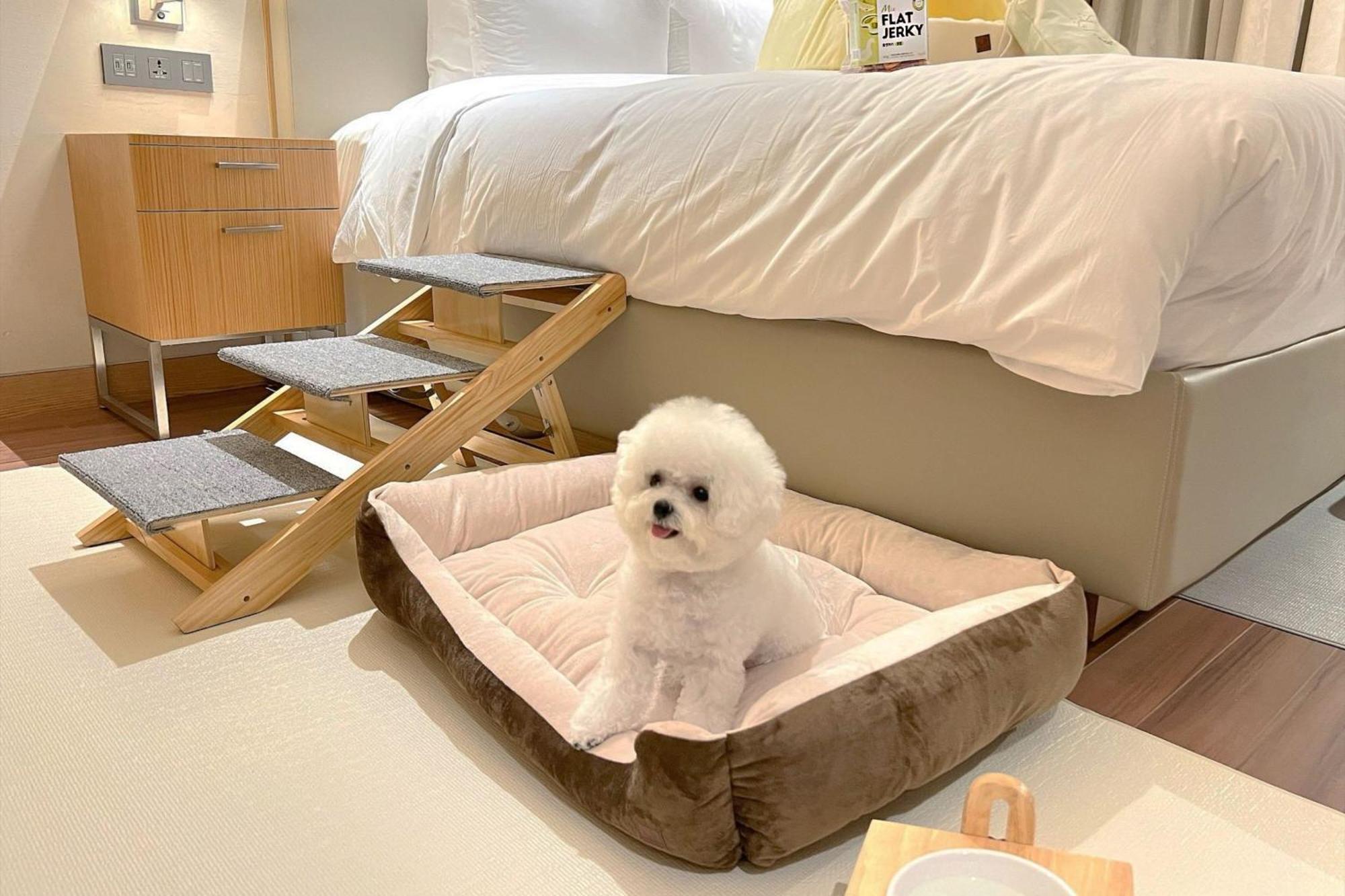 Hotel Courtyard By Marriott Seoul Botanic Park Extérieur photo